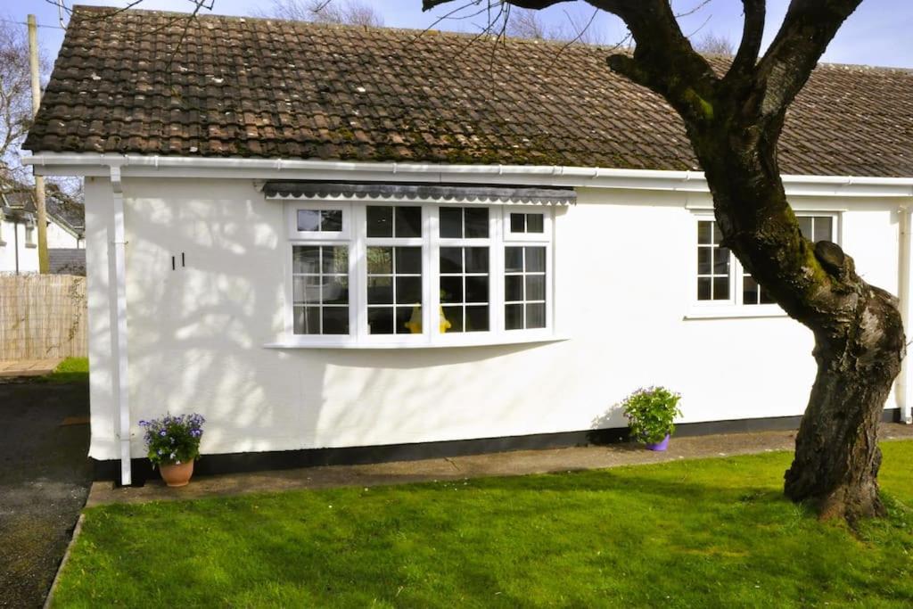 Ocean Breeze, Gower Holiday Village. Allows Dogs Swansea Exteriör bild
